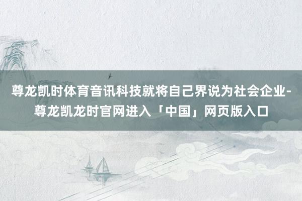 尊龙凯时体育音讯科技就将自己界说为社会企业-尊龙凯龙时官网进入「中国」网页版入口